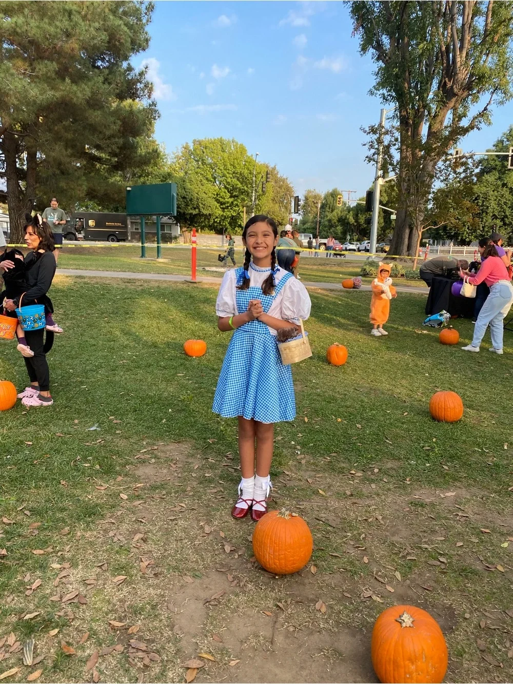 Blue Gingham Dorothy Costume Dress with White Blouse - Kids Costume